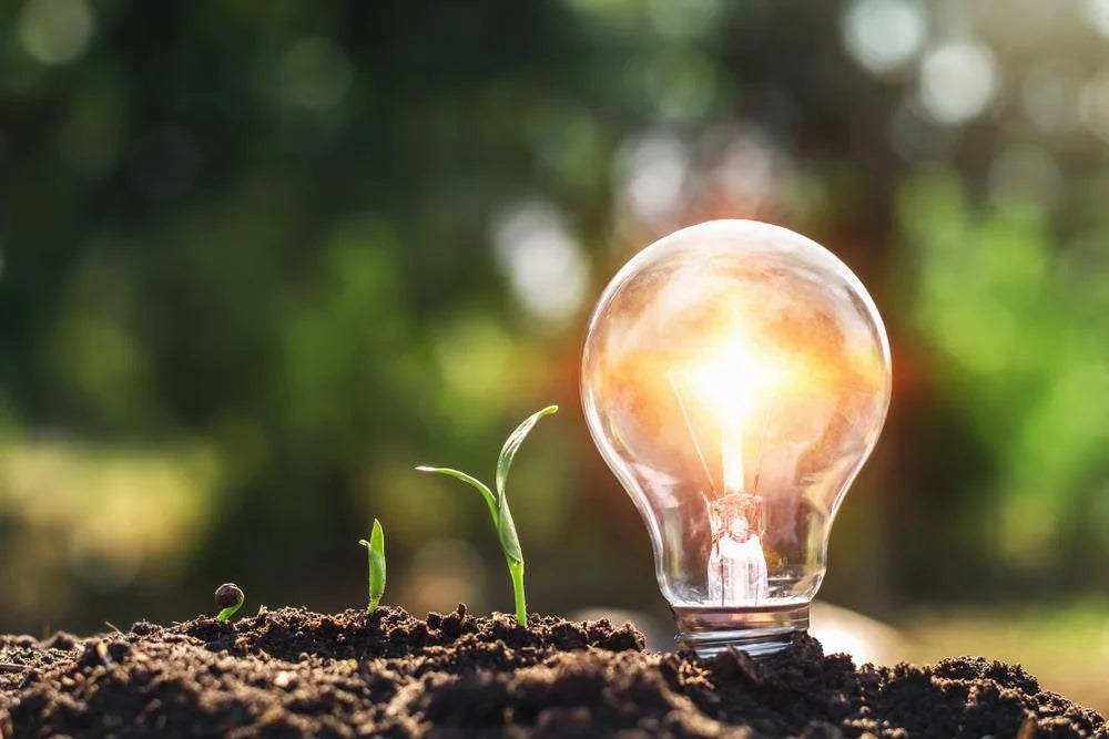 Sustainable Lighting Solutions: What Architects and Designers Need to Know