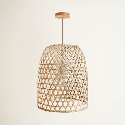 Audra Lantern Pendant Light